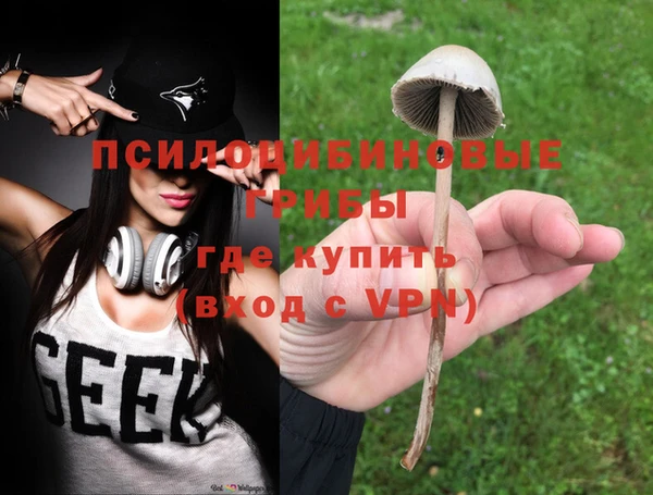 бошки Алексеевка